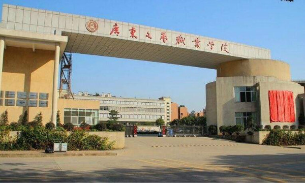 廣東文藝職業學院